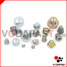 All Type Cap Nuts (Steel, Stainless Steel, Brass)